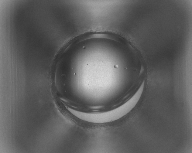 X0000054930530200508291634.png