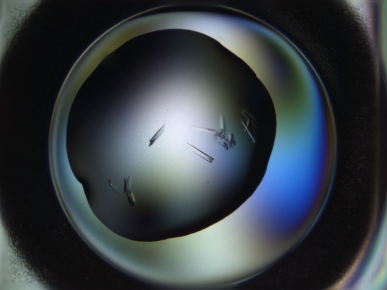 057p_G1_ImagerDefaults_9.jpg
