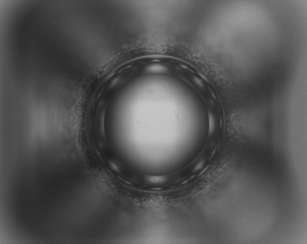 X0000047470600200503091601.png