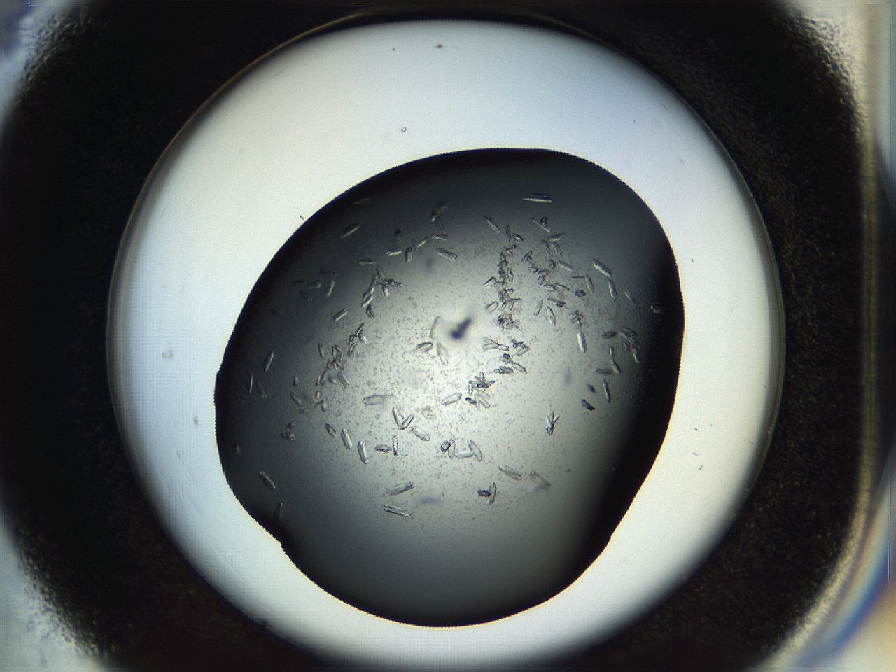 057p_C4_ImagerDefaults_7.jpg