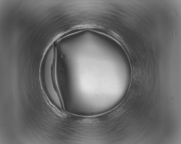 X0000055211179200508301314.png