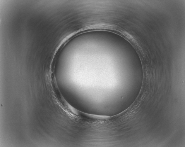 X0000055061230200508161637.png