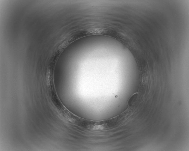X0000054330647200508111920.png