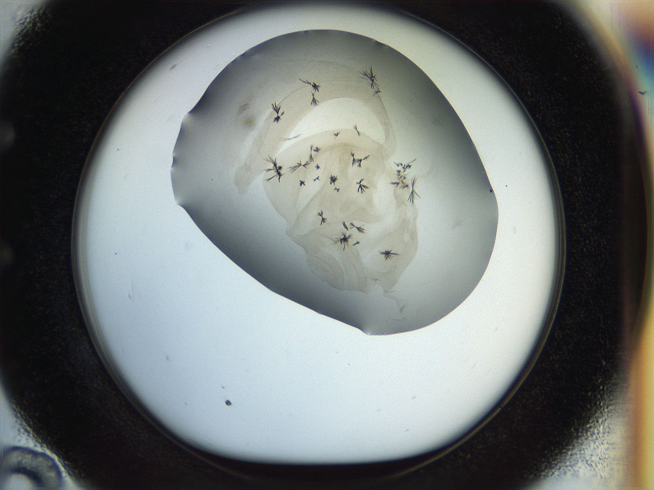 057x_E10_ImagerDefaults_7.jpg