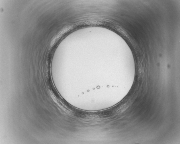 X0000054230677200508171513.png
