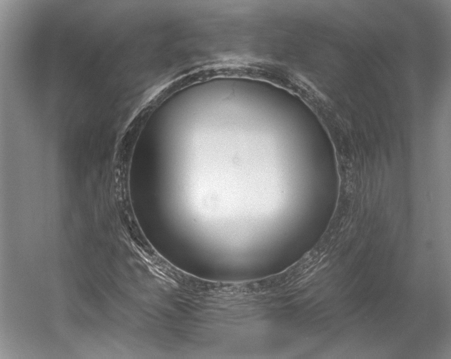 X0000055061208200508161637.png