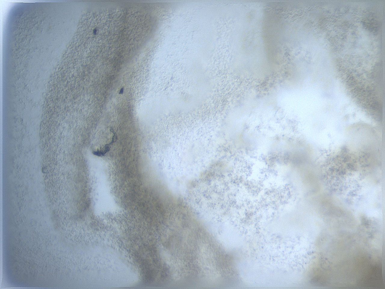 057x_B11_ImagerDefaults_8.jpg