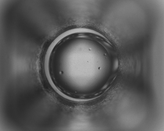 X0000045450734200502011656.png