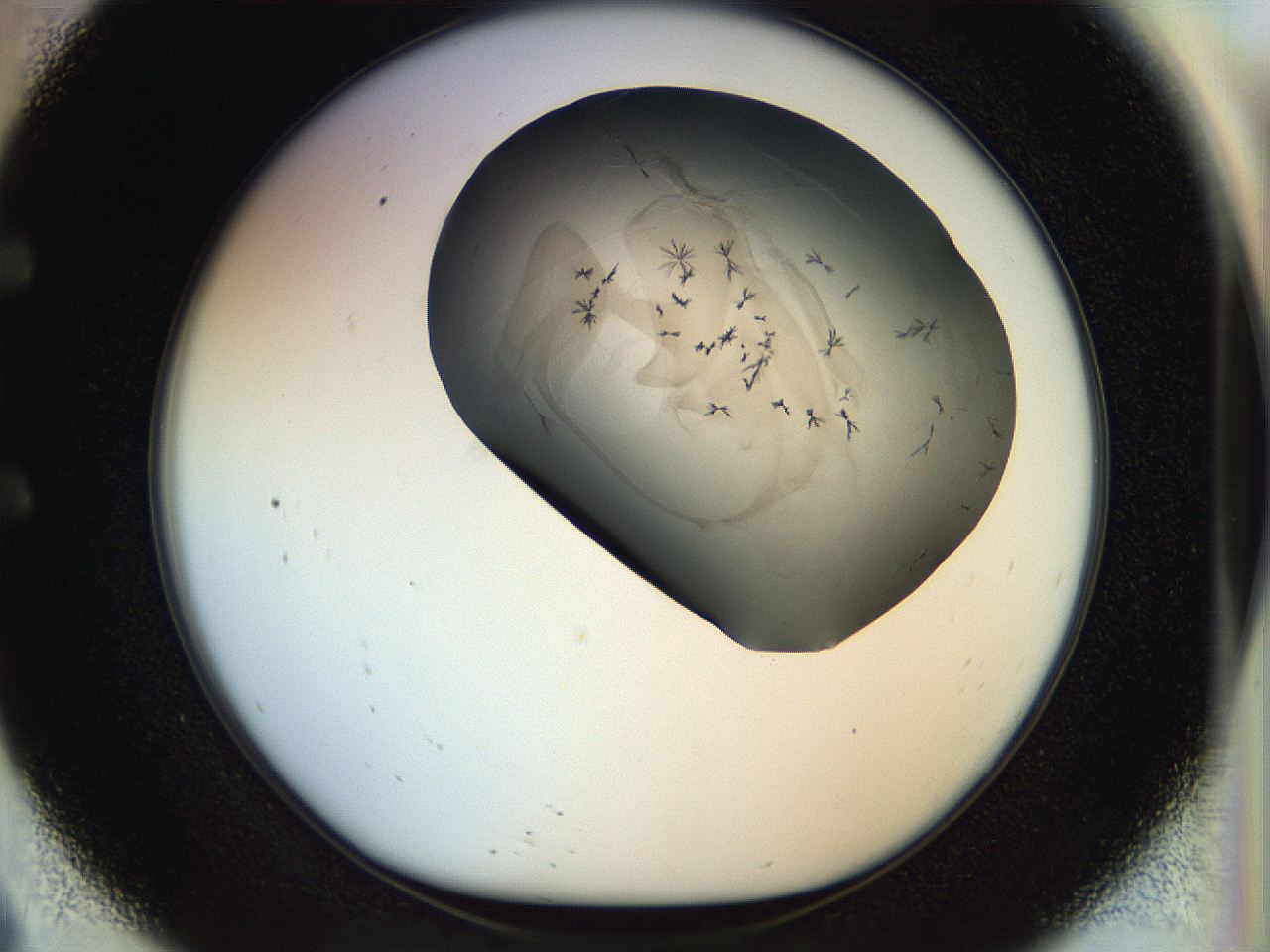 057x_E9_ImagerDefaults_7.jpg