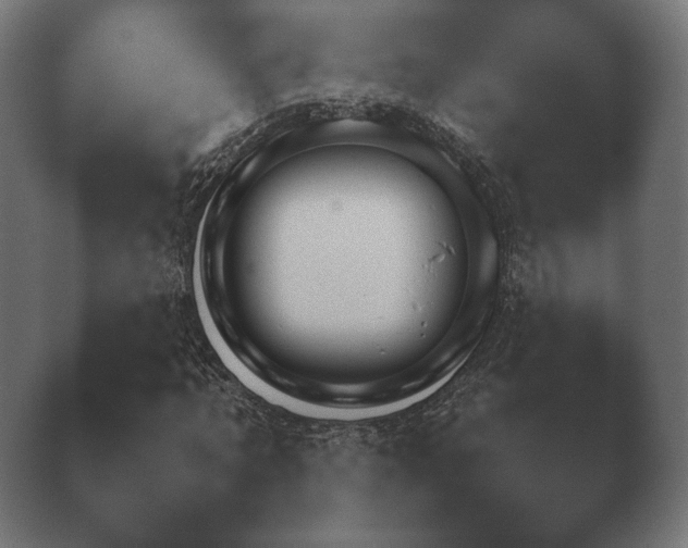 X0000040560869200411021426.png