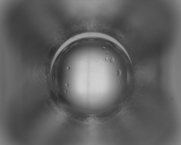X0000054970213200509051513.png