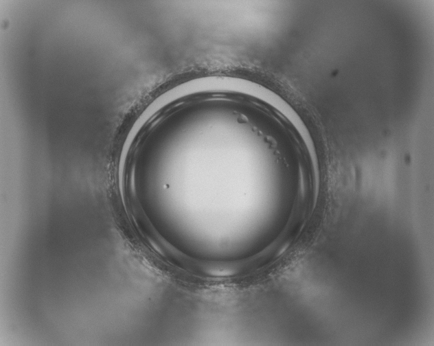 X0000052120447200507262055.png
