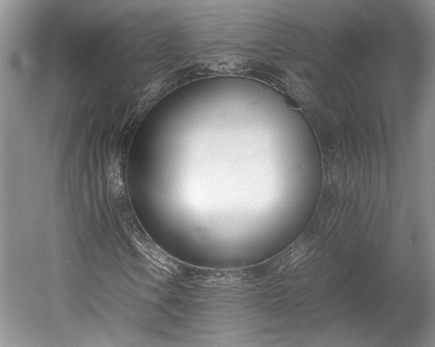 X0000055061106200508161638.png