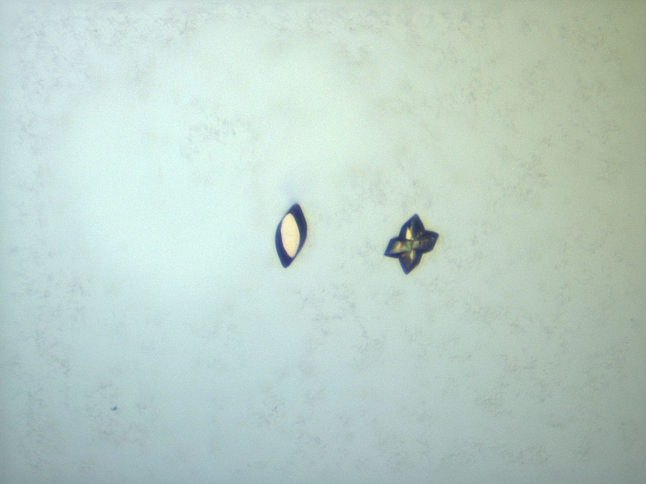 057y_F10_ImagerDefaults_9.jpg