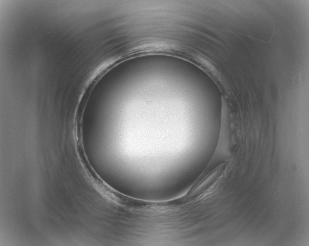 X0000054331034200508111913.png