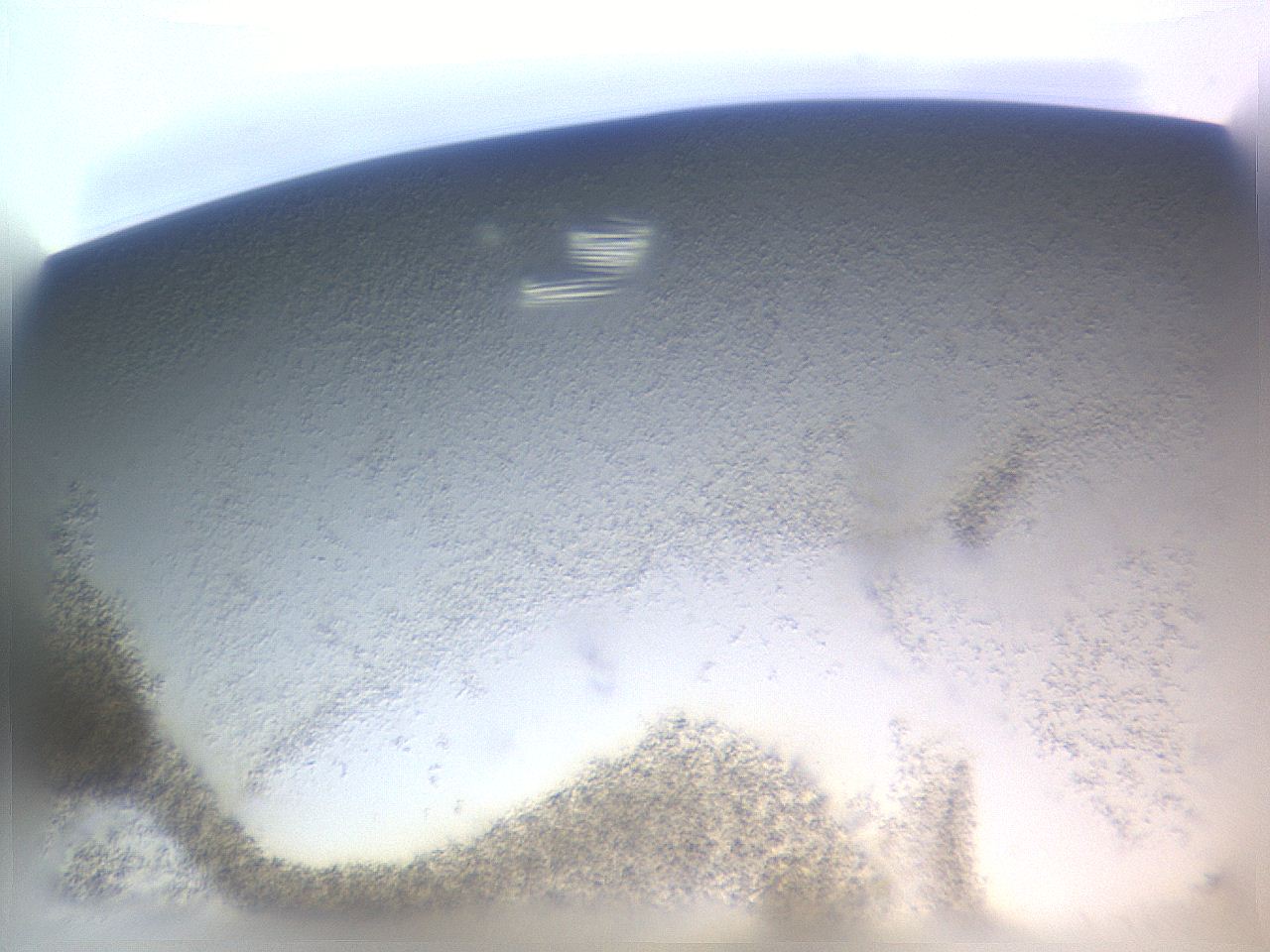 057y_G7_ImagerDefaults_9.jpg