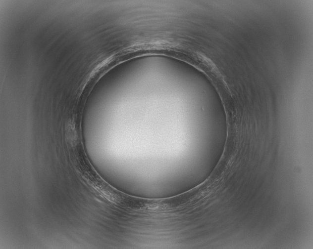 X0000055211218200508301313.png