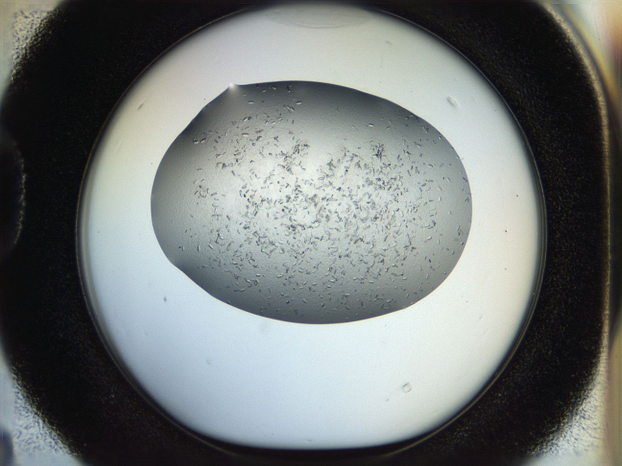 057z_D4_ImagerDefaults_9.jpg