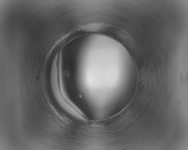 X0000055210400200508301327.png