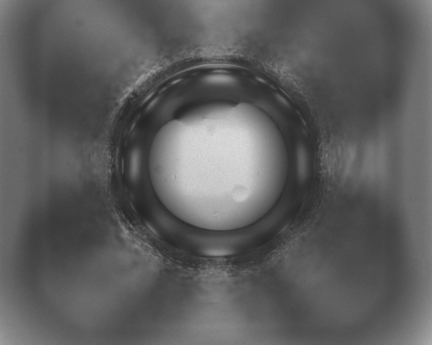 X0000038920684200409291006.png