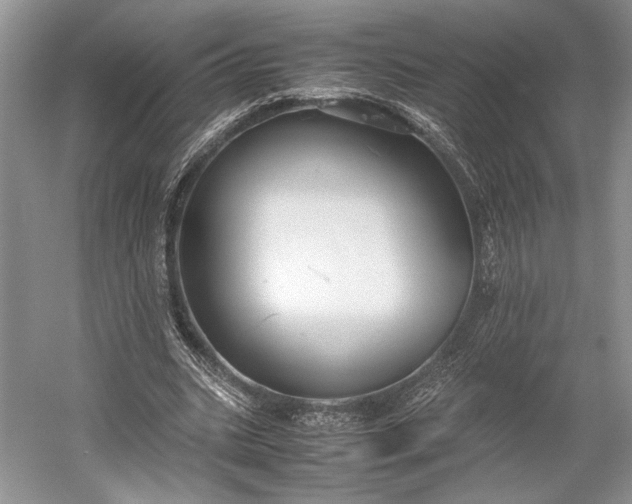 X0000055060535200508161648.png