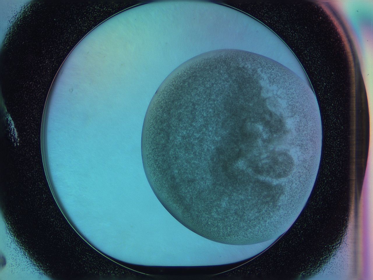 0583_A5_ImagerDefaults_3.jpg
