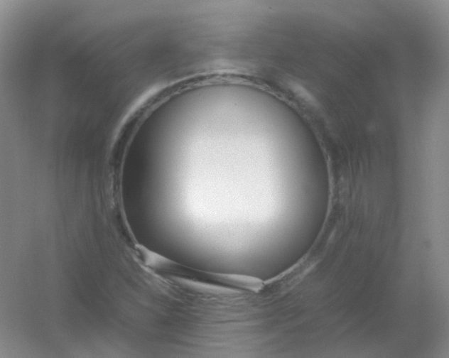 X0000054331310200508111908.png