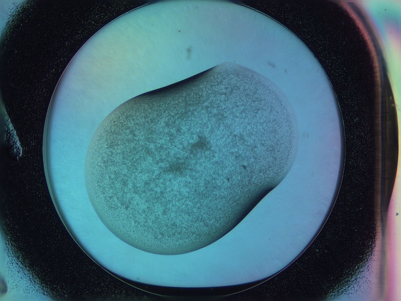 0583_A6_ImagerDefaults_3.jpg