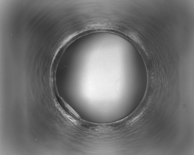 X0000055060981200508161641.png