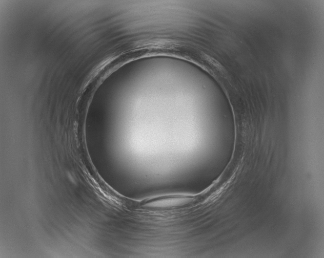 X0000055211066200508301316.png