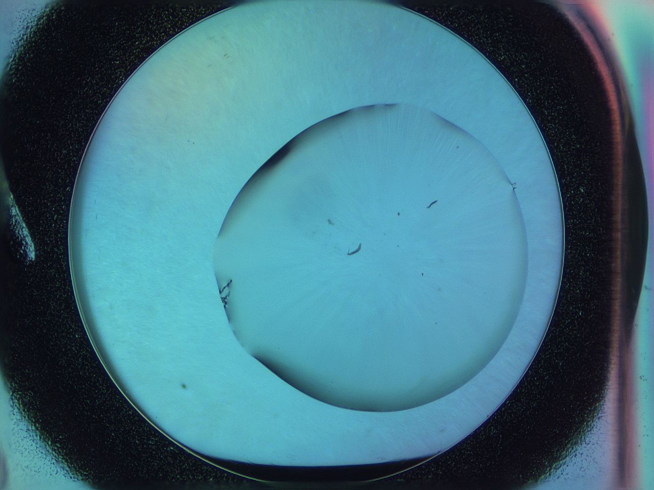 0583_A8_ImagerDefaults_1.jpg