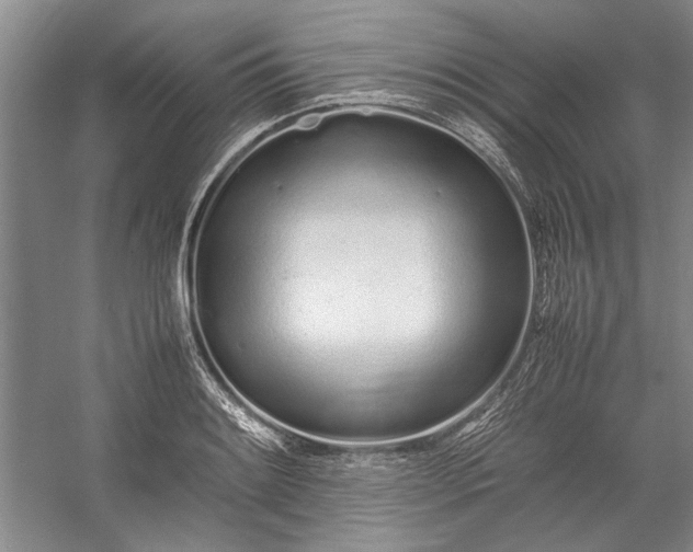 X0000055061084200508161639.png