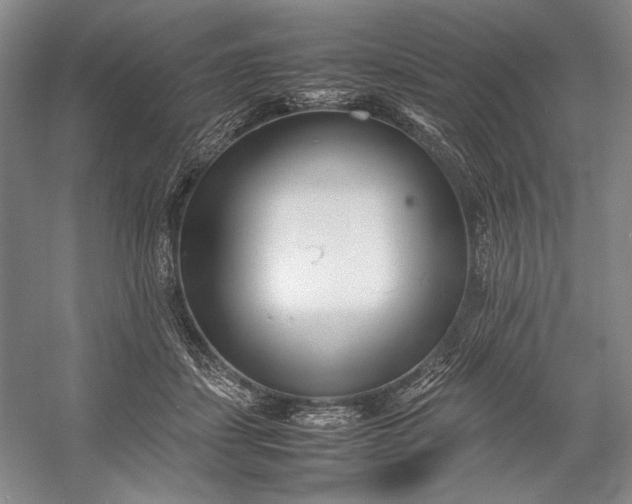 X0000055060459200508161650.png