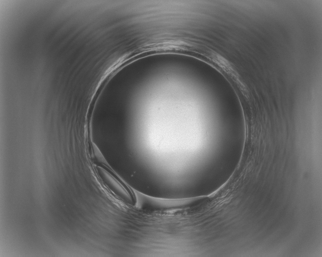X0000055061234200508161637.png