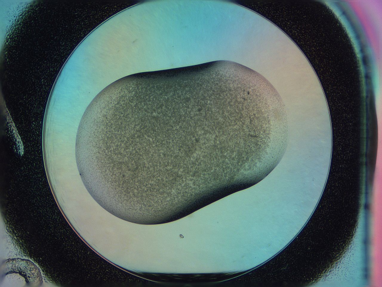 0583_A12_ImagerDefaults_3.jpg