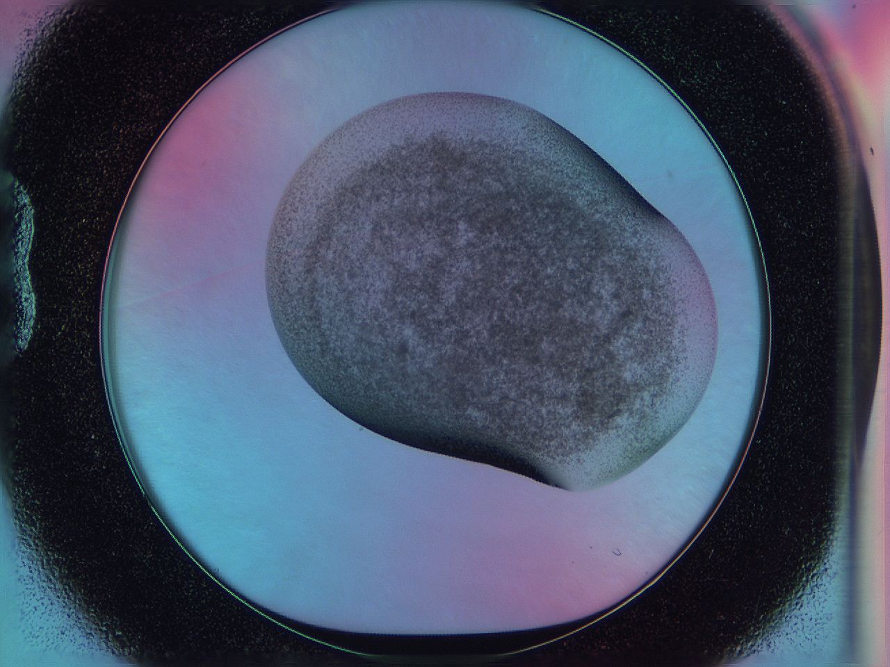 0583_B1_ImagerDefaults_3.jpg