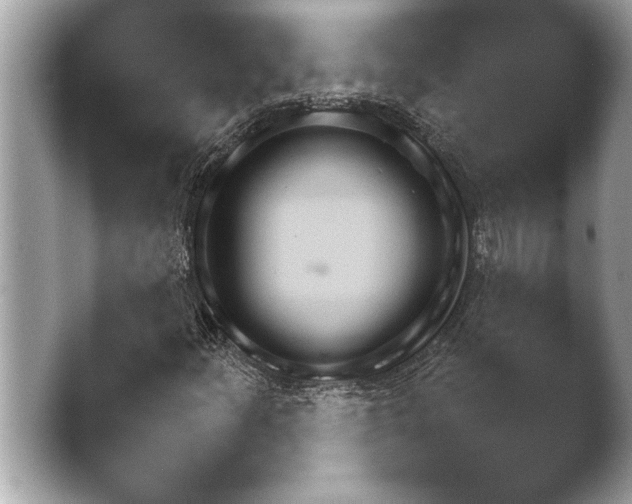 X0000042171252200411151540.png