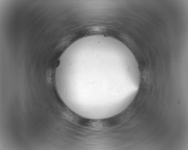 X0000054330423200508111924.png