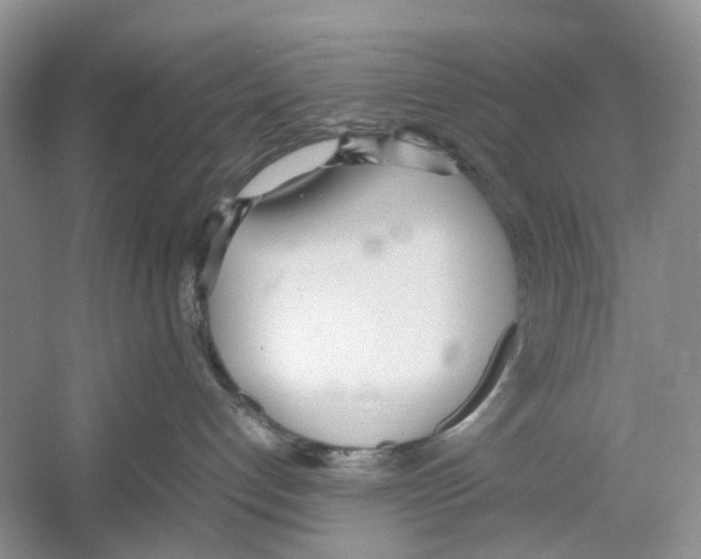 X0000054270192200508261926.png