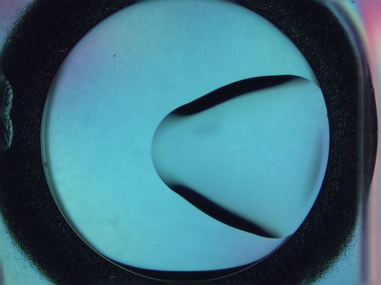 0583_B4_ImagerDefaults_0.jpg