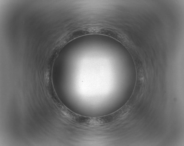 X0000054330697200508111919.png