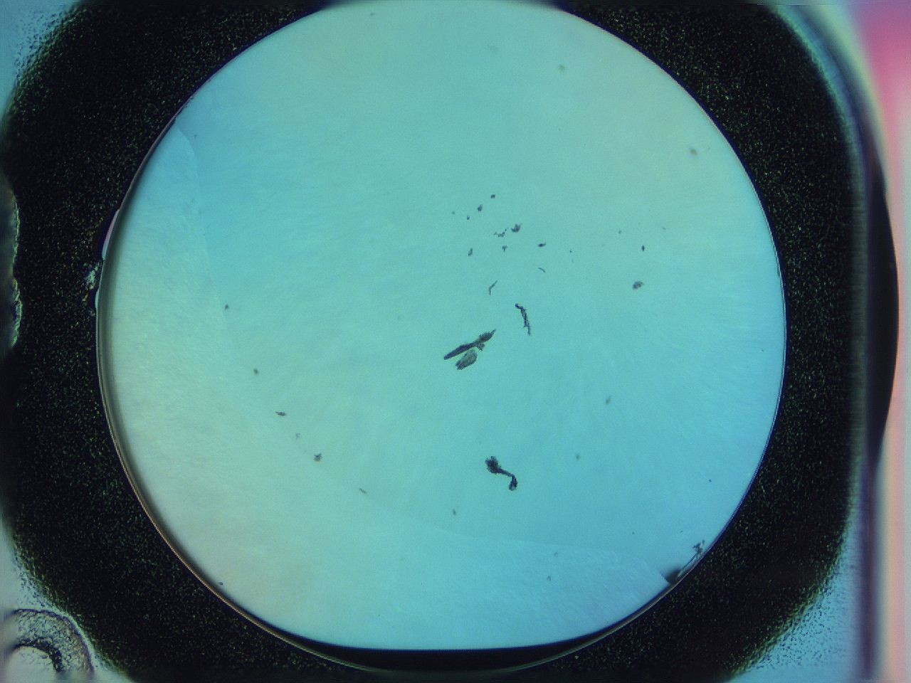 0583_B10_ImagerDefaults_1.jpg
