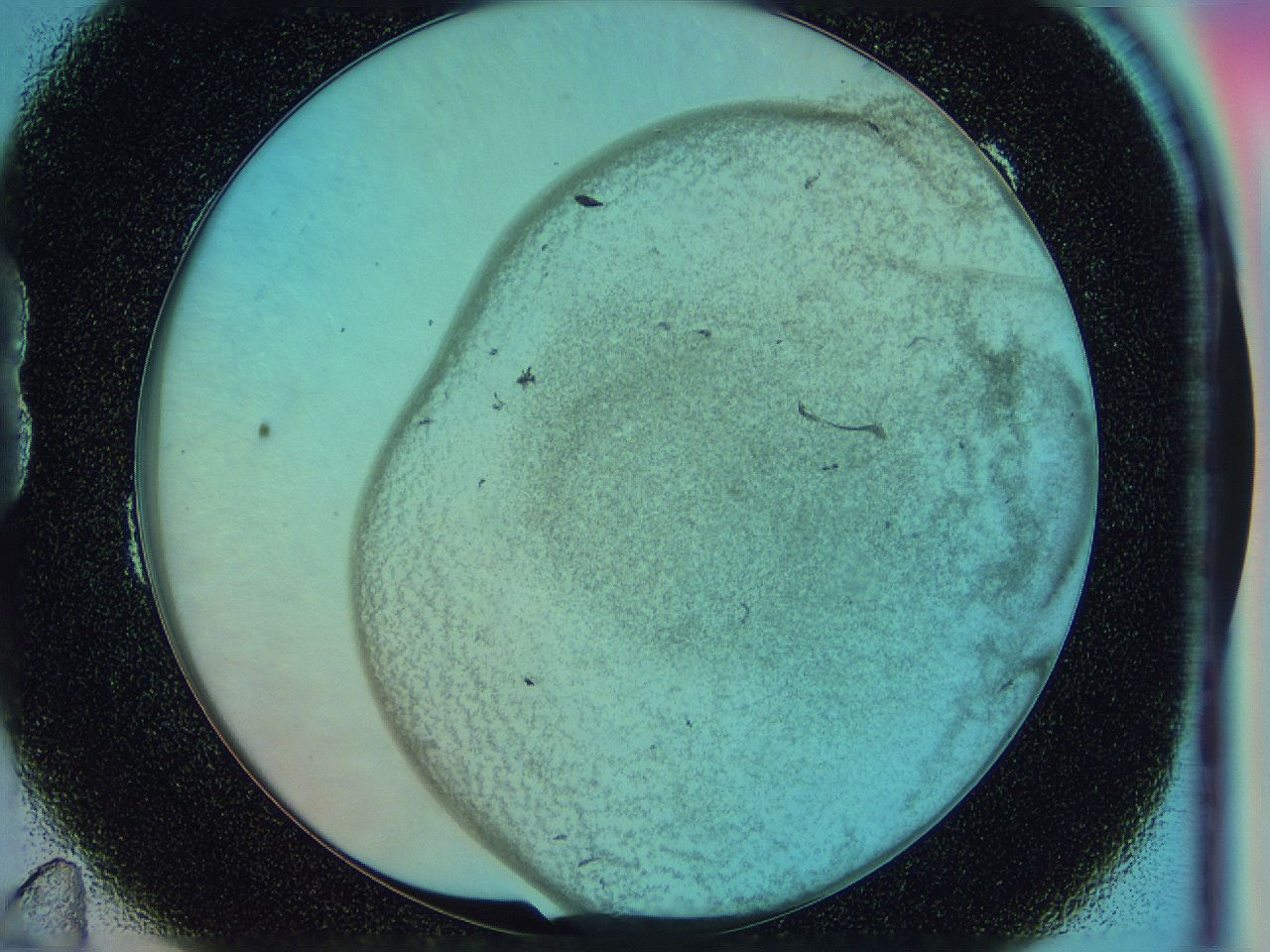 0583_B11_ImagerDefaults_3.jpg