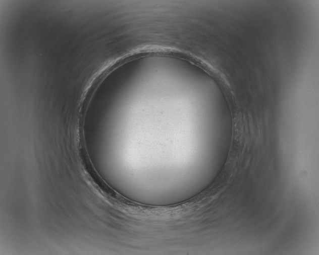 X0000055210015200508301334.png