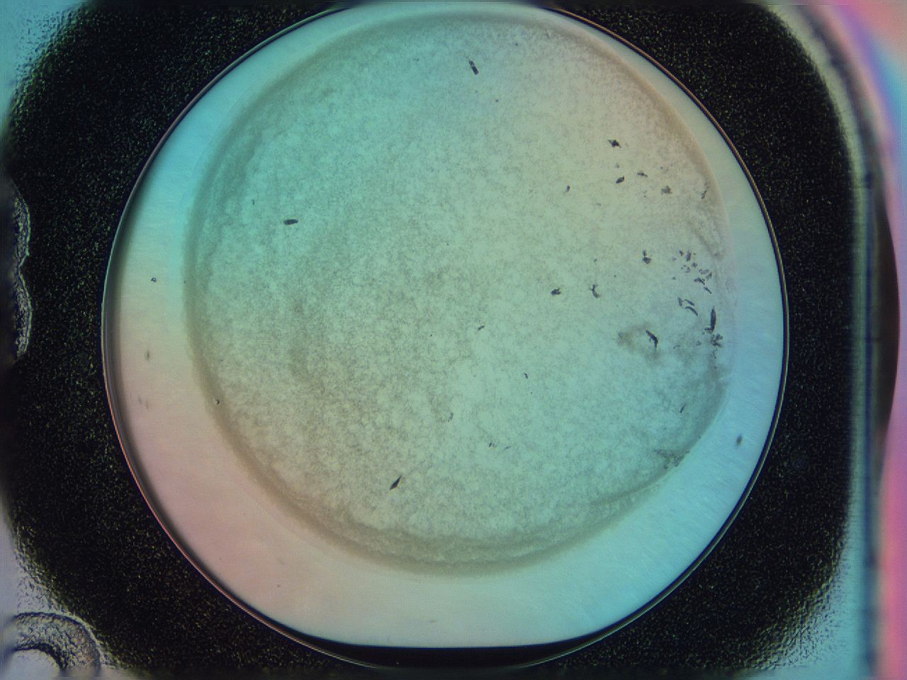 0583_B12_ImagerDefaults_3.jpg