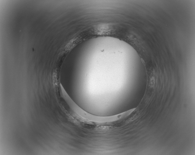 X0000055060620200508161647.png