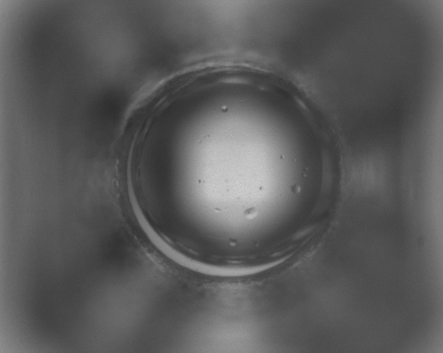 X0000054111164200508022051.png