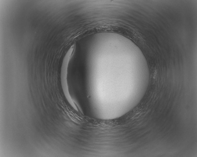 X0000055250868200509071613.png