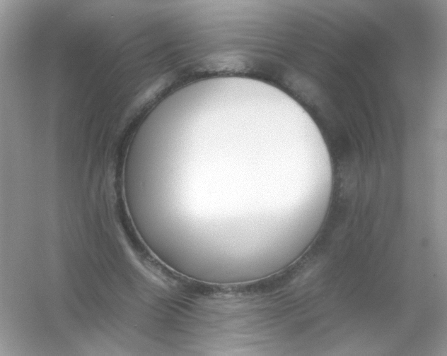 X0000054330538200508111921.png