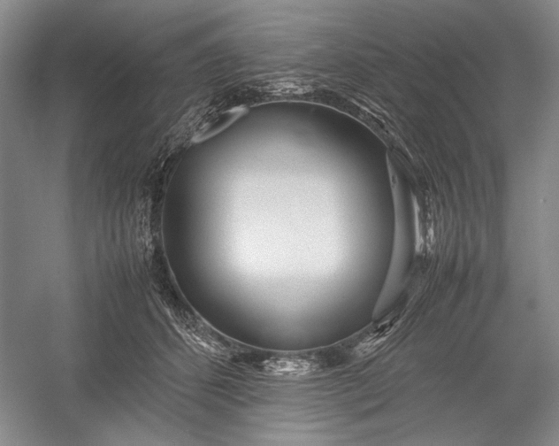 X0000055060512200508161649.png